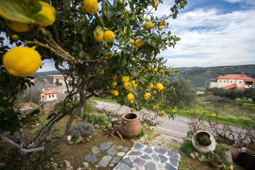  Traditional Family Cretan Home! in Yerakianá