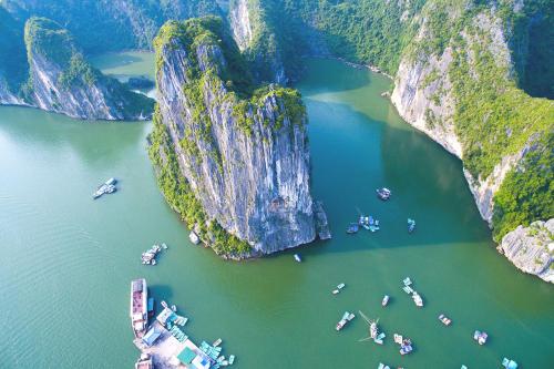 アレックス ハロン ホテル