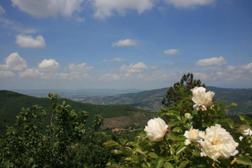 Casetta i Ciliegi - image 5