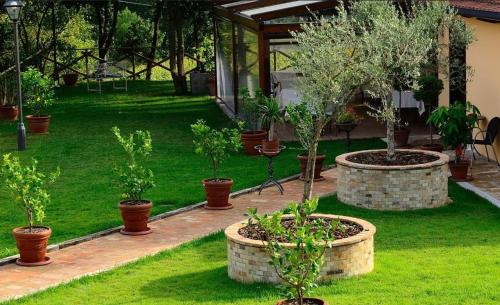 Borgo Mandoleto - Country Resort & Spa