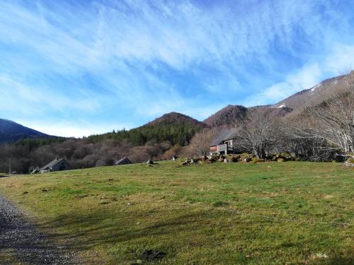 Les chalets de la forêt d'Issaux gîte à louer Lourdios-Ichère