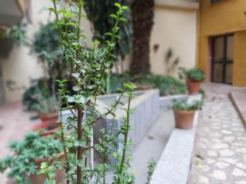 Studio with Sofa Bed room in Del parque flats estudio martires