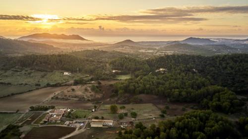 Finca Sestelrica - image 9