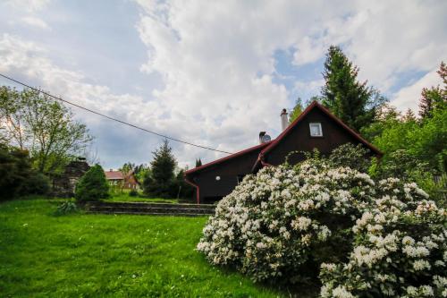 Ümbrus, Chata na Jankuli in Staré Hamry