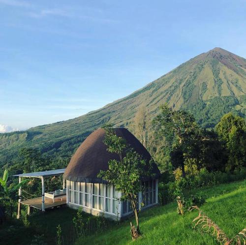 Manulalu Jungle Bajawa