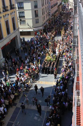 Vía Principalis Vía Principalis