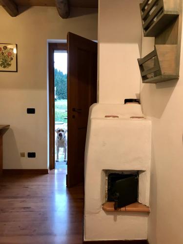 Agriturismo Maso Fumas in Canale d'Agordo