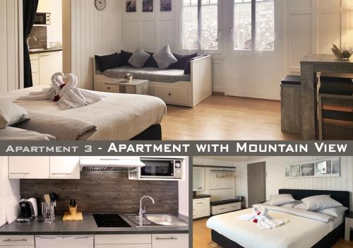 Apartment with Mountain View