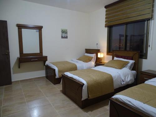 kinan petra hostel
