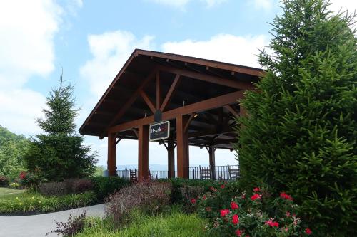 Bear-A-Dise in the Smokies cabin - image 7