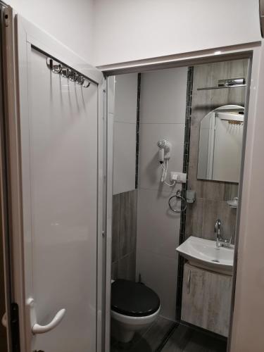 Vila Violeta, Šabac (foto 5)