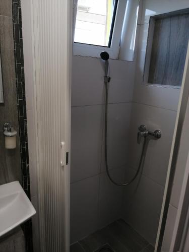 Vila Violeta, Šabac (foto 7)