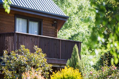 Alpine Lodge Motel in Hanmer Springs