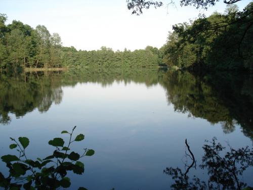 Haus am See