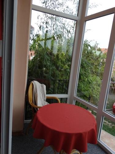 Budai Panzio in Székesfehérvar