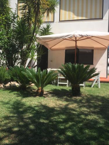 B&B Claro de luna - image 6