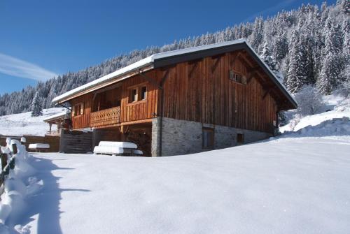 La Reine des Neiges à la Ferme des Ramus Les Gets