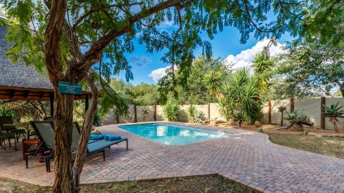 Kilátás, Phelwana Game Lodge in Thornybush vadrezervátum