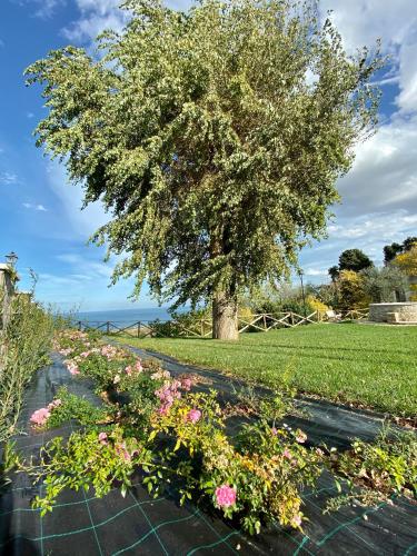 Residenza B&B VistaMare - image 9