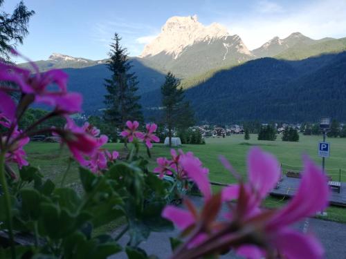 Hotel il Cardo - main image