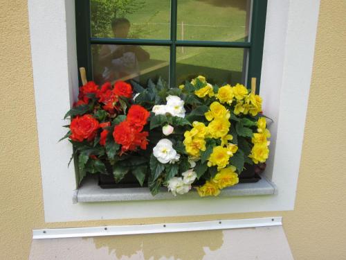 Haus Margarete - image 7