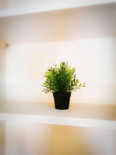 Casa vacanze Caterina, Neapel (Foto 5)