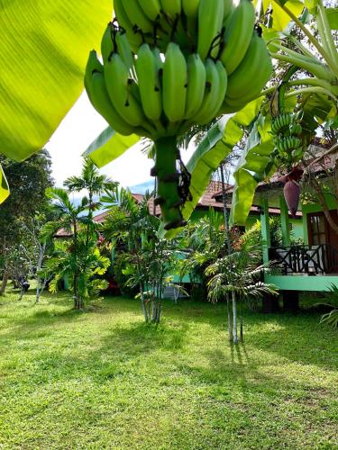 Anacar Bungalows