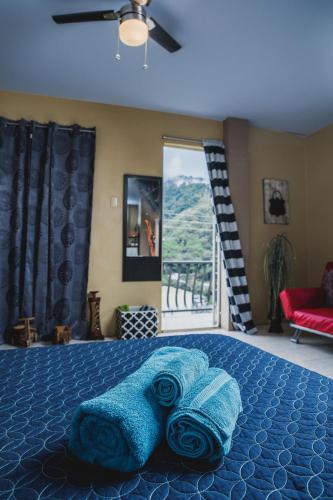 The Valley Oasis Inn in Saint Augustine