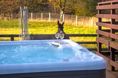 Hot tub, 2 Bed Lodge with private Hot Tub on Animal Haven Farm in East Kilbride