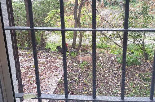 FARE BnB - casetta sul fiume in città FARE BnB - casetta sul fiume in città