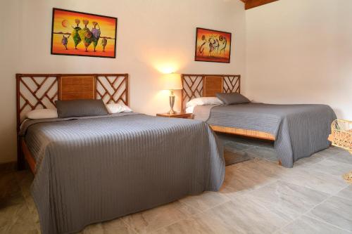 227316794 Parrot Cove Lodge