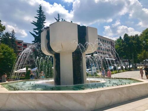 Borov Park 1 - main image
