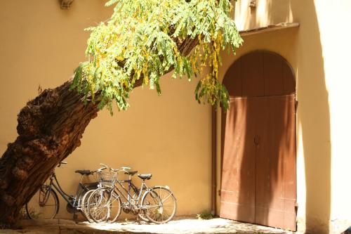 Acacia Firenze - Primula - image 5