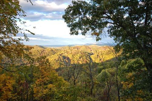 Awesome View - image 7