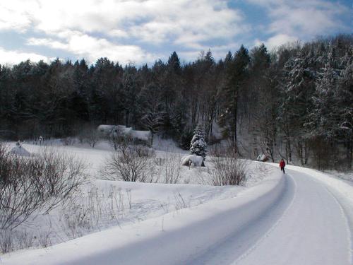 Mountain Valley Retreat in Killington, USA