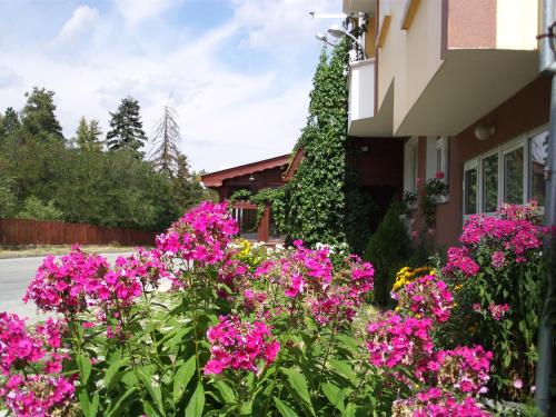 Guest House Zodiac - Samokov