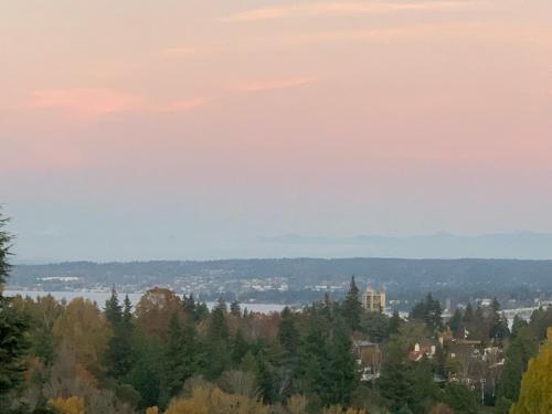 Arboretum View - image 9