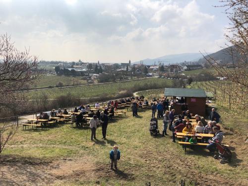 Ferienhaus Gimmeldingen