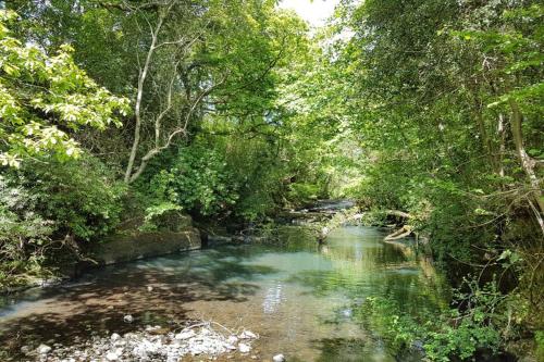 Afan Valley Holiday Home Mountain Biking & Hiking - Yr Hafan