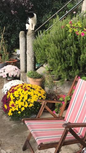 Ponte Castirla porte de la Scala chambre d'hôte Piana