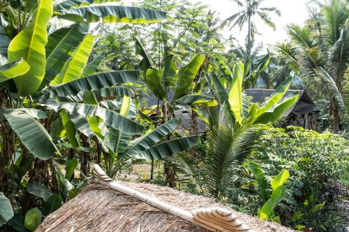 BALI BAMBOO JUNGLE HUTS AND HOSTEL