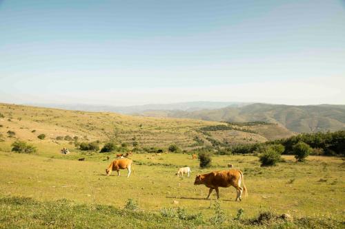 Casa Rural El Huerto de la Fragua in Enciso