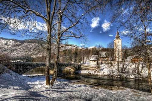 Apartments Brina - Bohinj