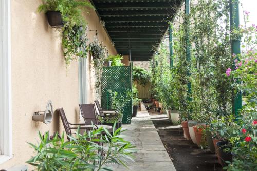O'Brien Riverwalk Boutique Hotel - 편의 시설/서비스