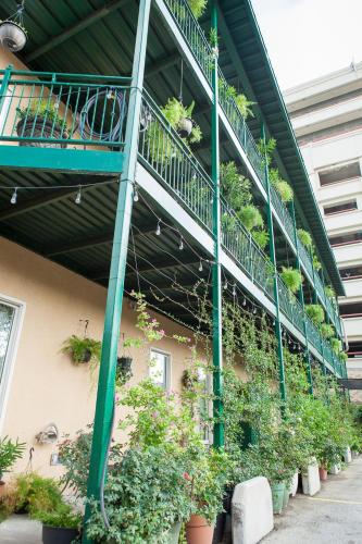 O'Brien Riverwalk Boutique Hotel - 숙소 외관