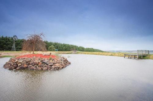 Заобикаляща среда, Cleggett Estate in Gisborne