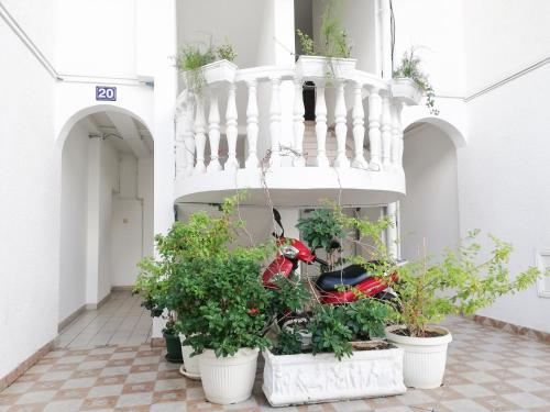 One-Bedroom Apartment image 1