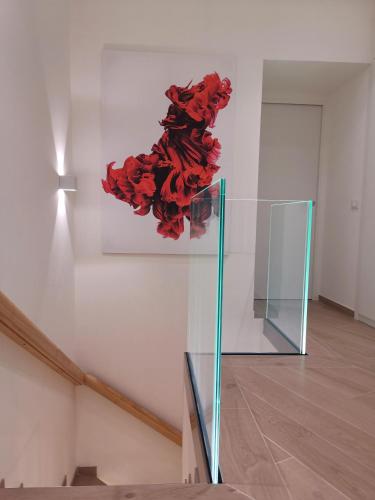 Betta splendens, Palermo (fotografie 4)