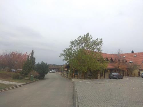 Statek Olšany - image 7
