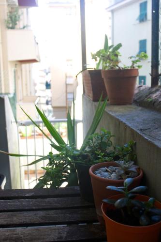 La Casetta di Hera by SMART-HOME